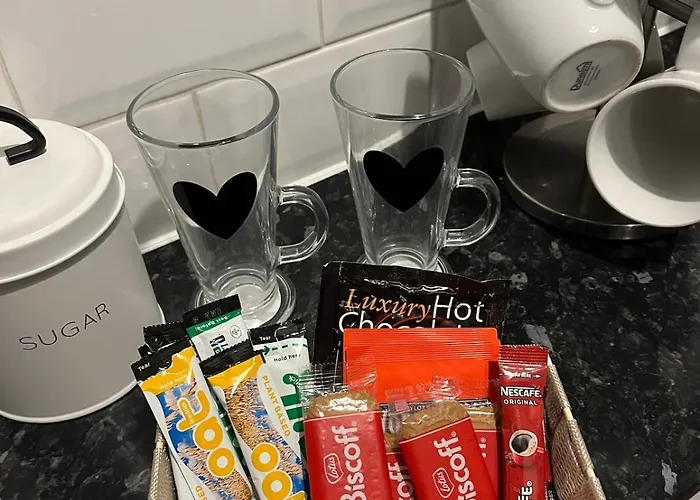 Prime Location Clifton 2 Bed Self Contained Spacious Garden 公寓 布里斯托